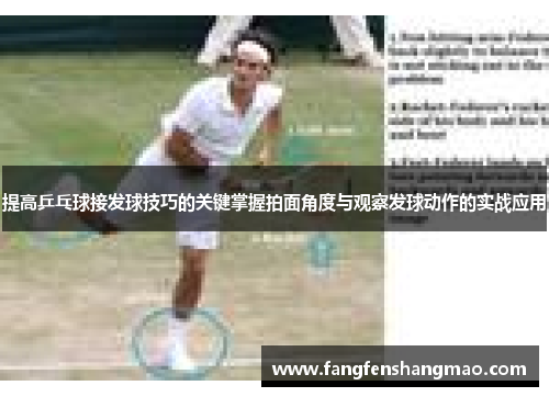 提高乒乓球接发球技巧的关键掌握拍面角度与观察发球动作的实战应用