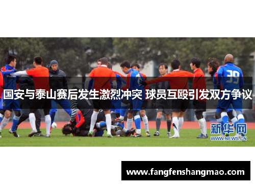 国安与泰山赛后发生激烈冲突 球员互殴引发双方争议